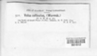 Image Associated With the Occurence